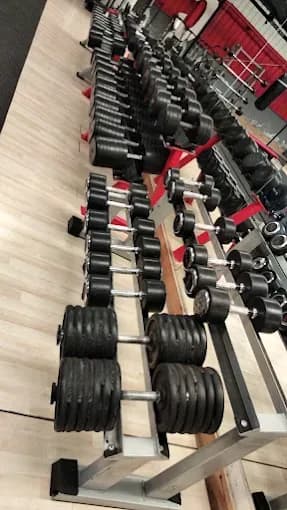 Mancuernas y peso libre en Colliseum Gym